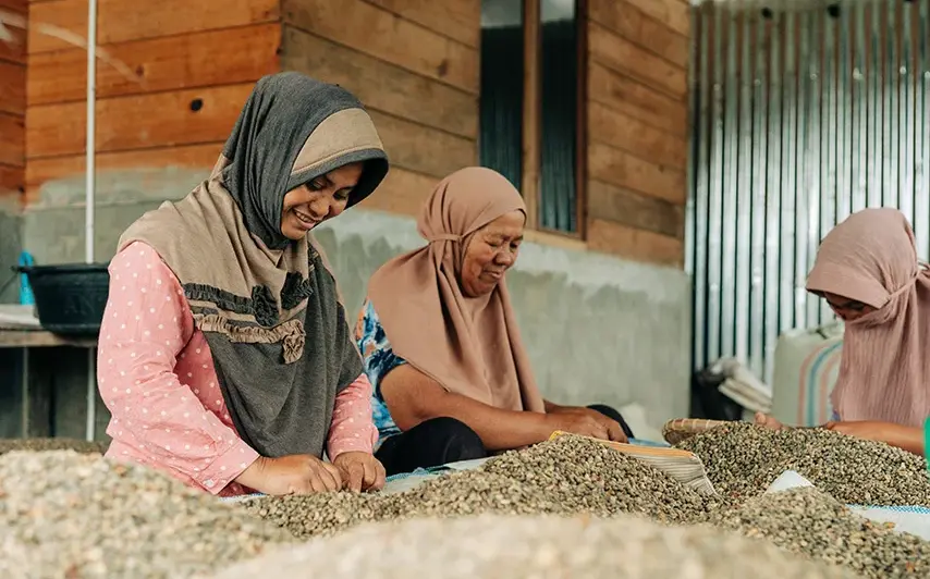 Deforestation-Free Coffee Supply Chains: How Adena Coffee, Powered by Koltiva, Ensures EUDR Compliance and Transparency