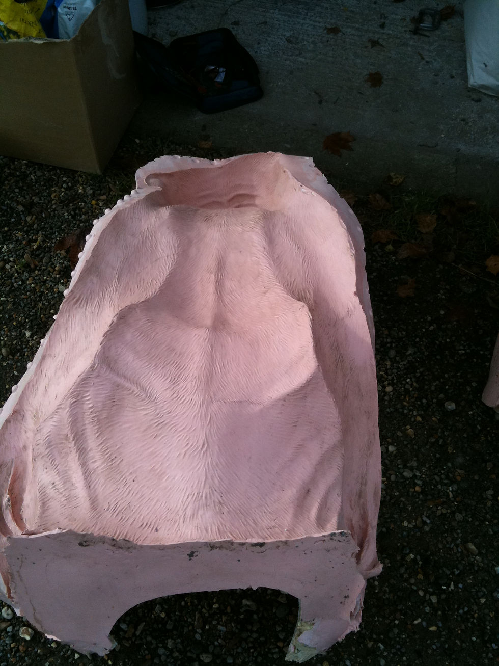 Sun bear mould