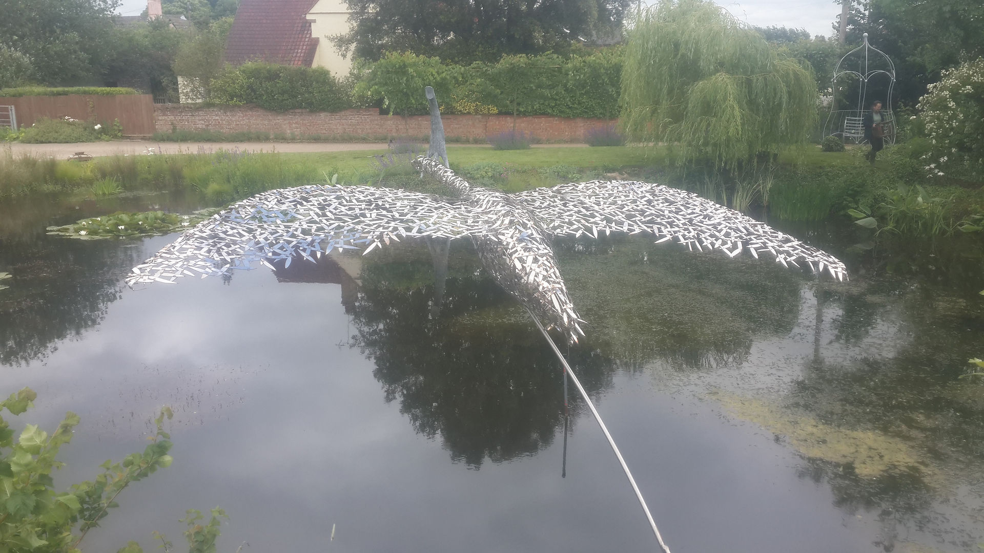 Gliding bird in its new home