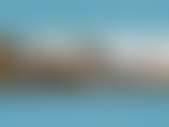 NaviStitch and Sail Loft News