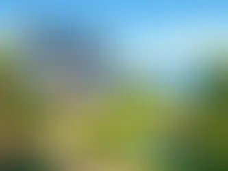 Maison de vacance et jardin en Bretagne -Finistère