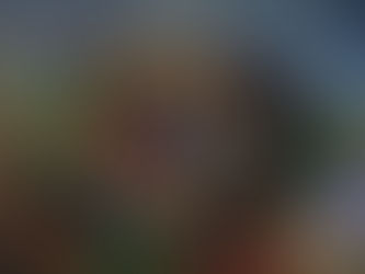 Undocutale: A Young Girl's Plea for Change