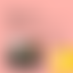 Outlines key tasks of the secretary committee position.