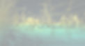 LM_energy_vegetation1_edited.jpg