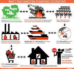 palm-oil-infograph_580px1.jpeg