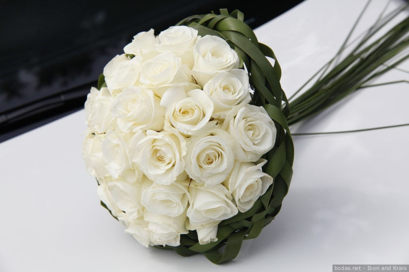 Rosas Blancas