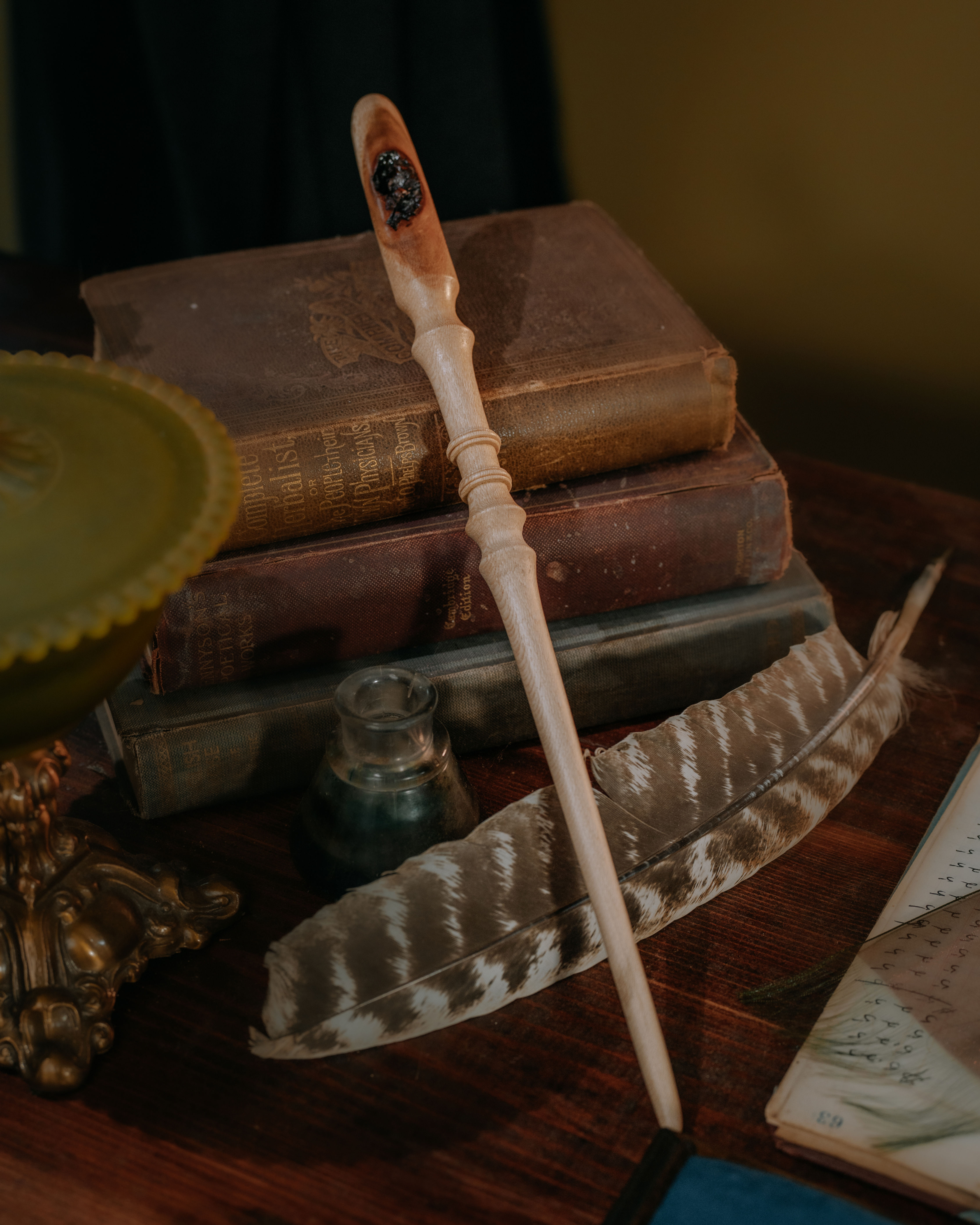 Sycamore, Dragon Heartstring 14¼ IN 