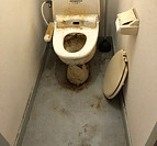 IMG_6638.jpeg