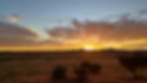 20240413_183718.jpg