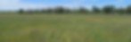20250305_114358.jpg