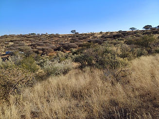 20240622_161237.jpg