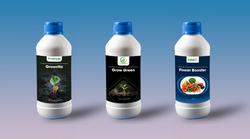 Product Label Designing