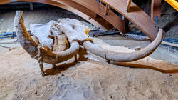 D'un million d'année