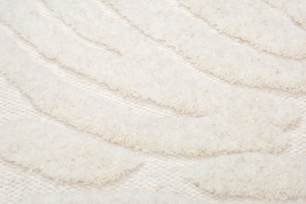 Thumbnail: C1C-ZBR1_W000