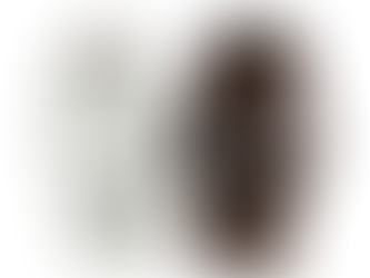 What Should You Know About Best Water Filter?