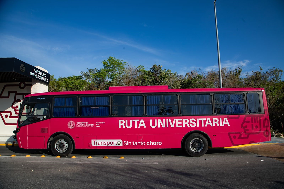 “Ruta Universitaria: Transporte sin tanto choro”, un servicio de transporte gratuito que beneficiará a más de 1,700 estudiantes .