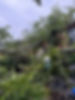 90C8CD7A-6262-4144-A63B-95556F9EBD0C_1_105_c.jpeg