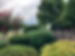 D2274831-B11B-4202-B05C-F258D806DCA7_4_5005_c.jpeg