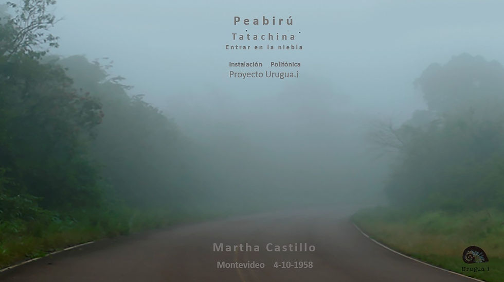 IMAGEN 1 PEABIRÚ.jpg