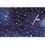Thumbnail: Celestial Patterns, Constellation print 100% Cotton Fabric by the yard