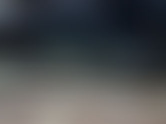 続・屋根裏のハクビシン