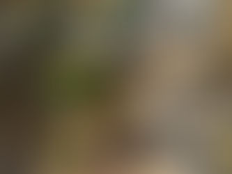 外構工事もお任せください!!