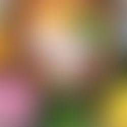 One Pot Homestyle Chili