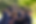 Untitled-design-7.png