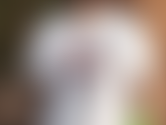 Original Buffalo Bills Homage NFL x Guy Fieri’s Flavortown Tri Blend Shirt