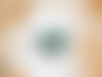 National champions Rainbow warriors shirt