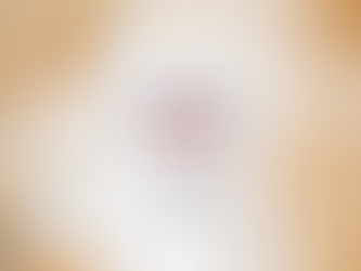 Jefferson high school alumni class of 1991 shirt