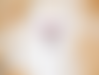 Kingwood middle school class of 2029 shirt