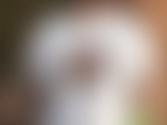 Original San Francisco 49ers Homage NFL x Guy Fieri’s Flavortown Tri Blend Shirt