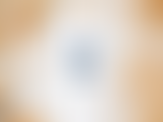 Philip Barbour high school alumni shirt