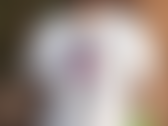 Buffalo Bills G III 4Her By Carl Banks Heather Gray Football Girls Shirt