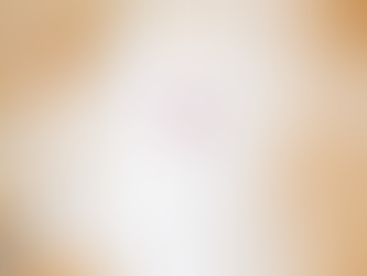 Warren county high school class of 2023 shirt