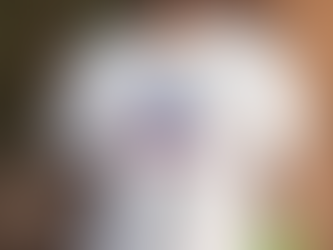 Original Buffalo Bills Butterfly Logo Shirt shirt