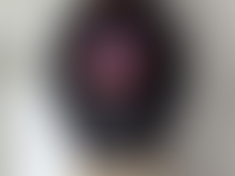 Samuel w wolfson high school alumni shirt