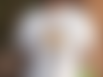 Original Minnesota Vikings Homage NFL x Guy Fieri’s Flavortown Tri Blend Shirt