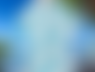 Star Fish And Seashells Tropical Hawaiian Shirt For Men And Women