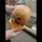 Thumbnail: Full Size Yew Skull