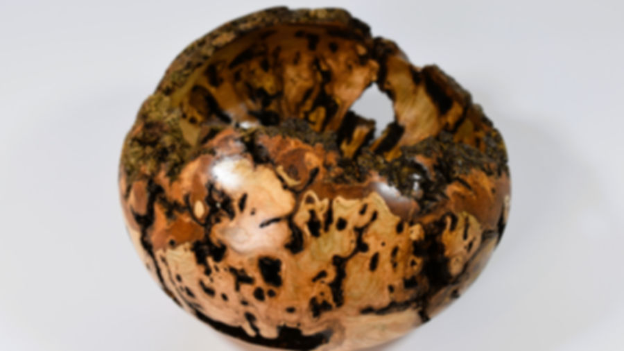 Natural Edge Ash Burl Form..