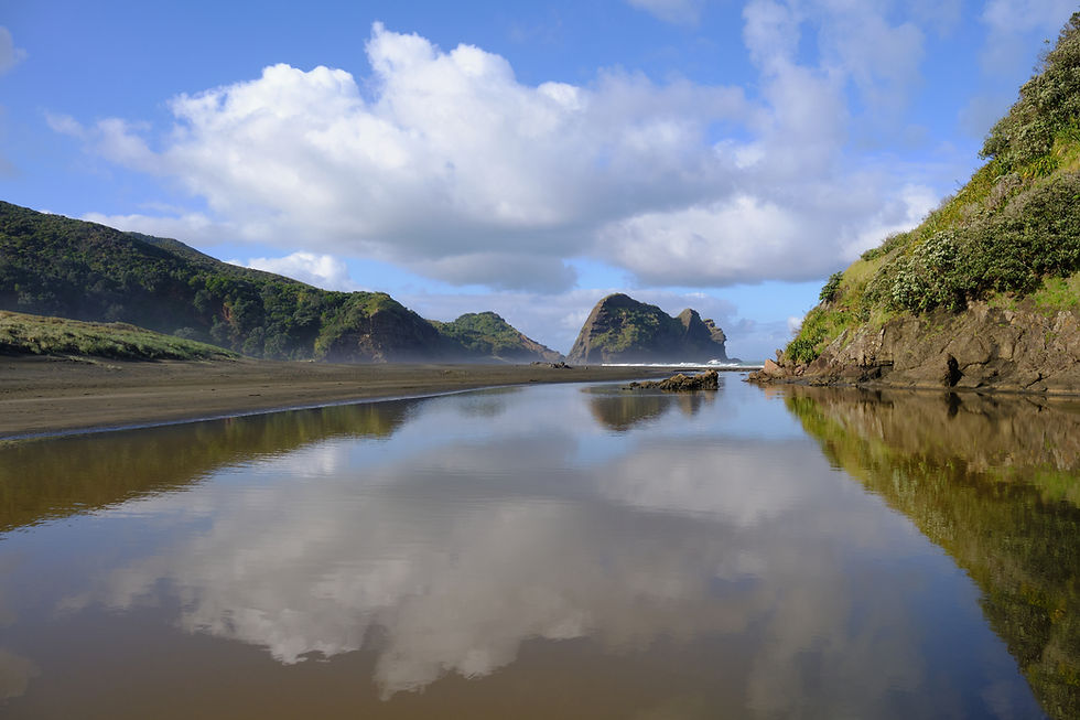 Piha Beach