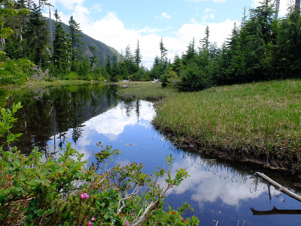 Mountain pond
