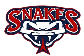 Snakes_edited.png