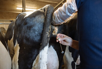 Screenshot 2026-04-24 at 13.41.08.png