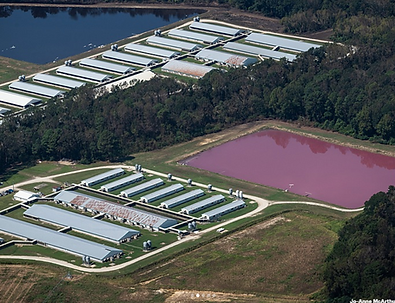 Screenshot 2026-04-25 at 00.28.29.png