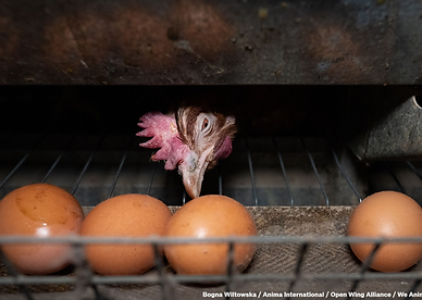 Screenshot 2026-04-24 at 13.34.30.png