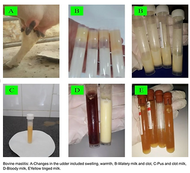 Screenshot 2026-04-24 at 21.55.23.png