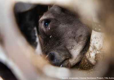 Screenshot 2026-04-24 at 13.34.36.png